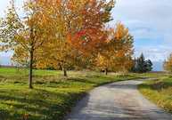 hainich-im-herbst.jpg