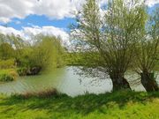 teich-im-hainich.jpg